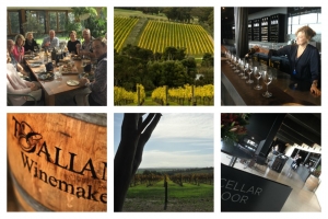 Images from the Mornington Peninsula Images from the Mornington Peninsula | Chillout Travel