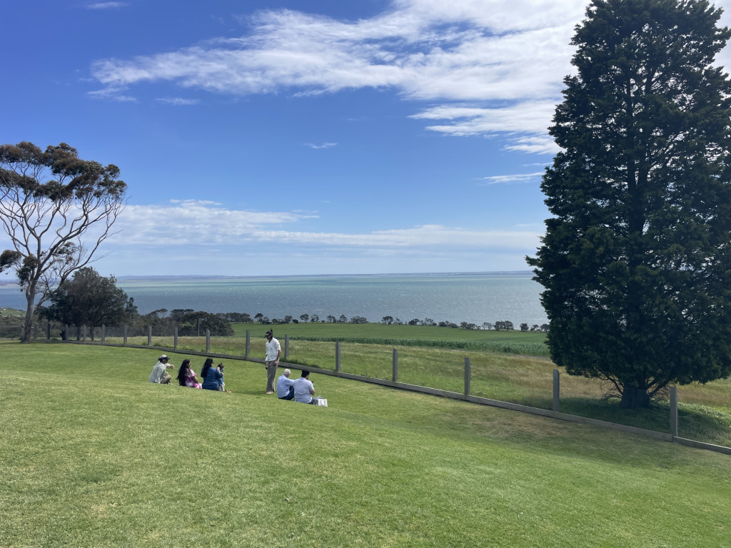 Jack Rabbit views of the bay