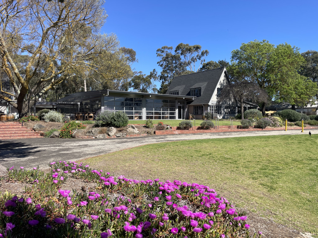 Scotchmans Hill Cellar Door