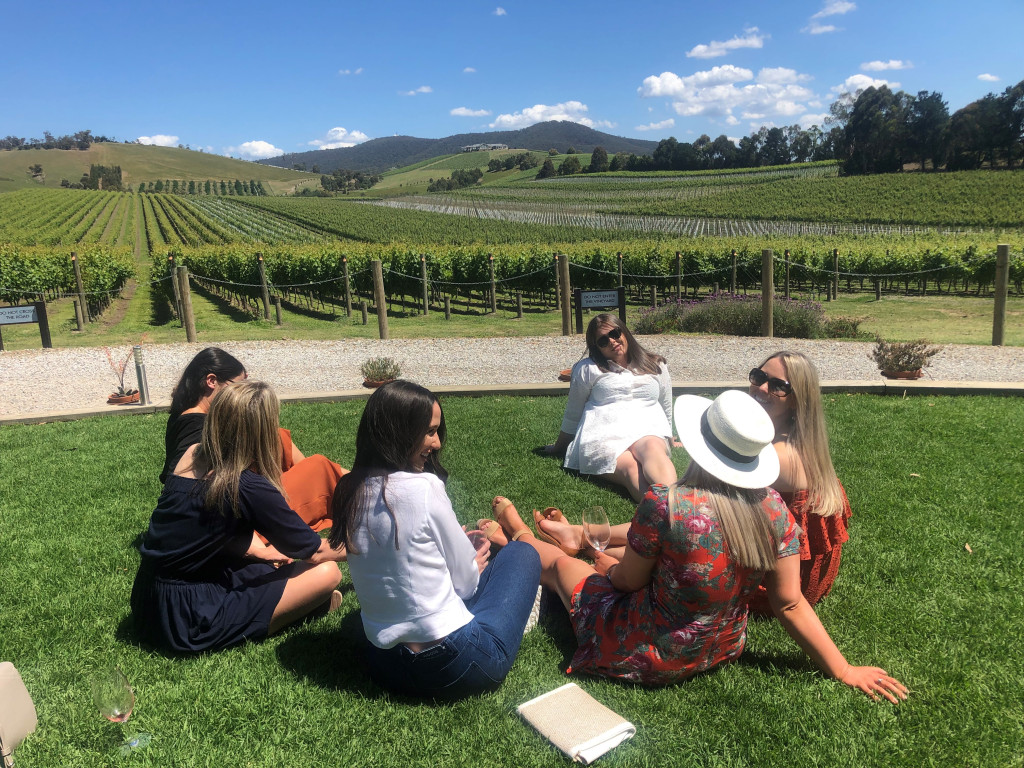 Rows of cool-climate vines in the Yarra Valley wine region