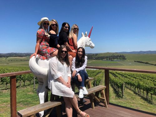 Hens Group at Helen and Joeys | Yarra Valley